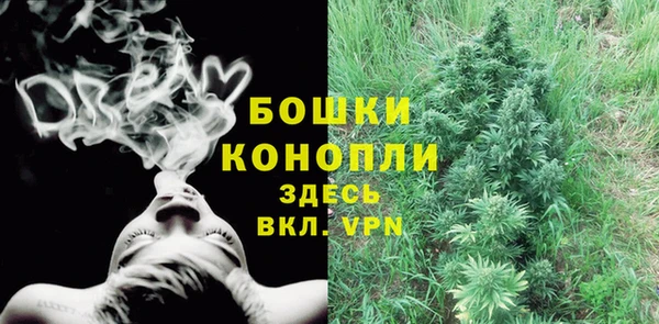 шишки Зерноград
