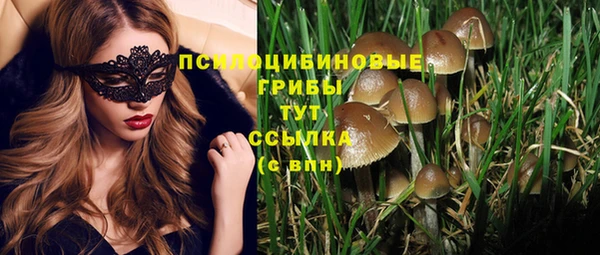 соль курить ск Каменногорск