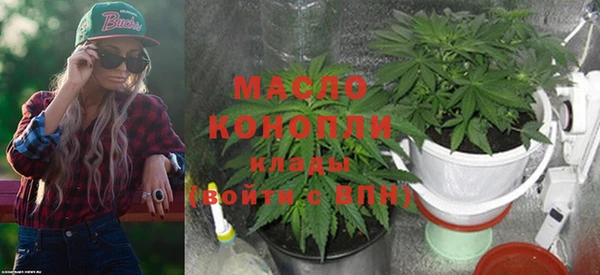 ALPHA PVP Каменка